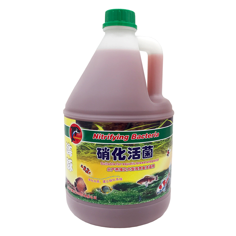 锦鲤硝化细菌鱼缸虫菌净水剂除氯绿水浑水净化观赏鱼高清大图