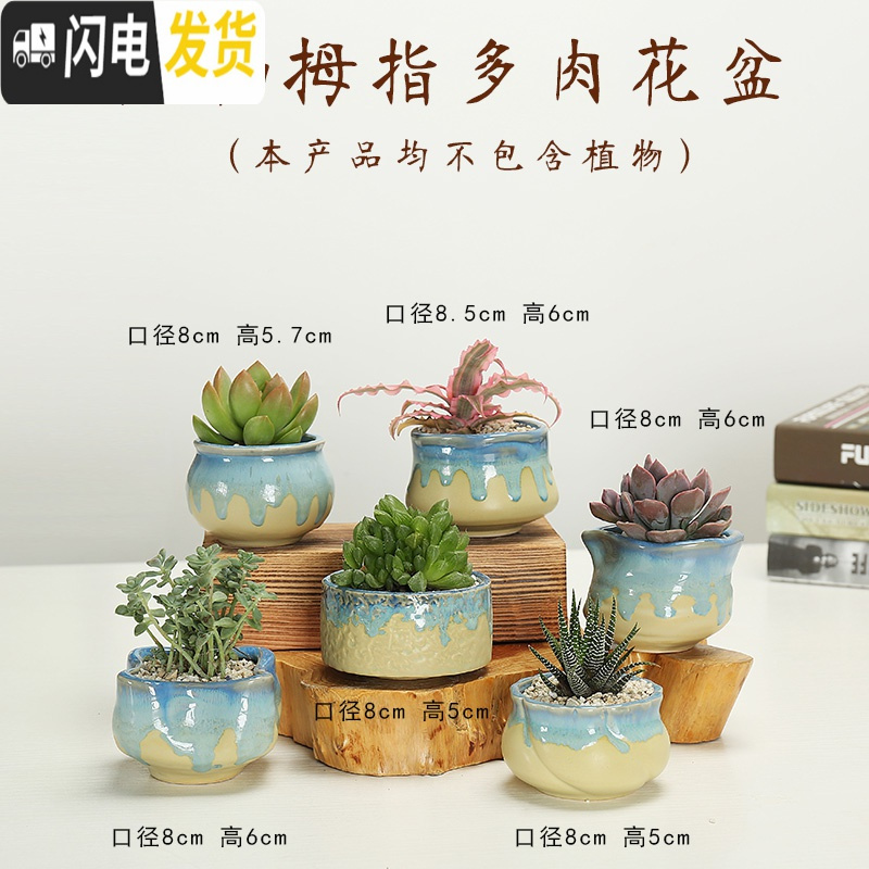 三维工匠多肉花盆陶瓷创意个性粗陶肉肉植物盆器大口径小花盆 双色拇指盆(6个) 中小花盆容器