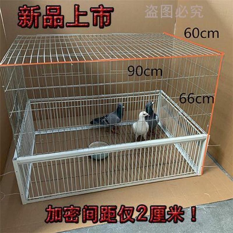 无天窗40.30.26(2个进口) 天落鸽子笼捕鸽信鸽用品只进不出鸽子笼加密鸟笼鸽跳笼拼装撞门笼