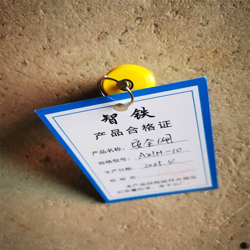 智铁 安全阀 A21H-10 个高清大图