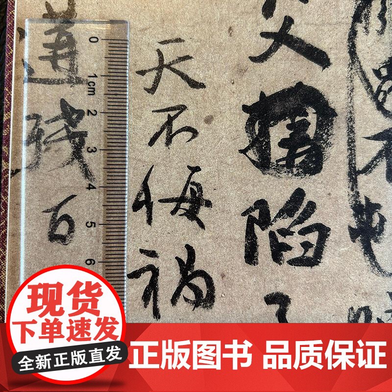 颜真卿祭侄文稿 (唐)颜真卿书上海书画出版社编 著 毛笔书法 艺术 上海书画出版社高清大图