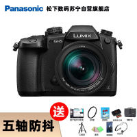 松下(Panasonic)DC-GH5LGK(含12-60镜头) 微型单电套机 微单相机