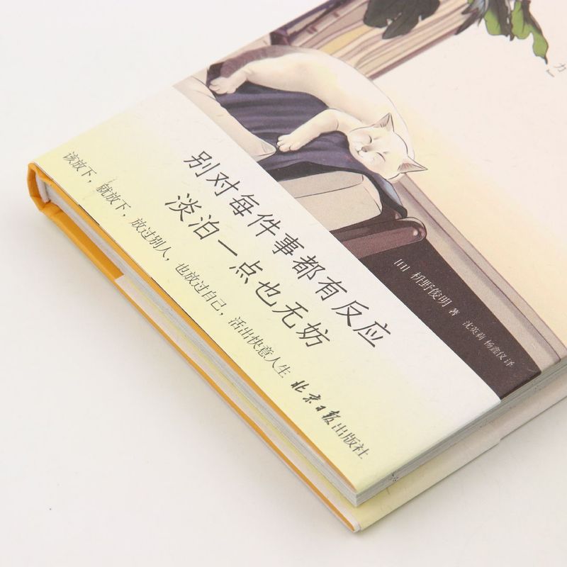 [正版]有些事根本不配占有你的情绪 99个让人生变好的放下力 治愈焦虑内心 关于工作、社交、个人成长、亲密关系等的生活哲高清大图