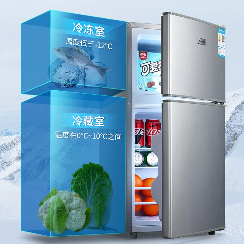 容声118升小冰箱单双门家用宿舍节能冷藏冷冻迷你小型车载电冰箱