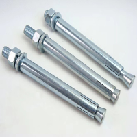 中一力国标JB/ZQ4763-2006膨胀螺丝14*300
