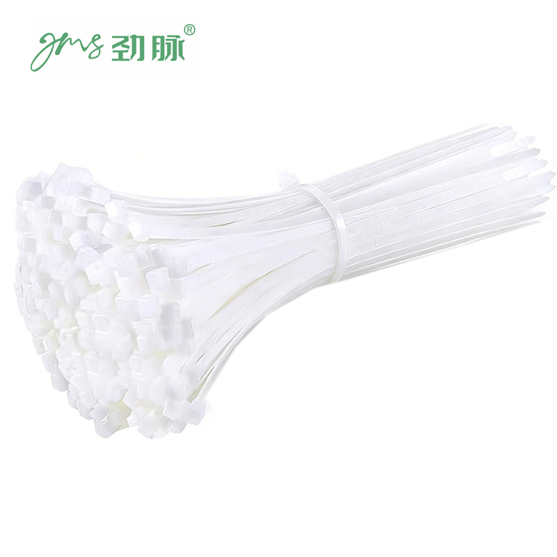 劲脉 尼龙扎带 5*100*4.8mm宽(250条) 包高清大图