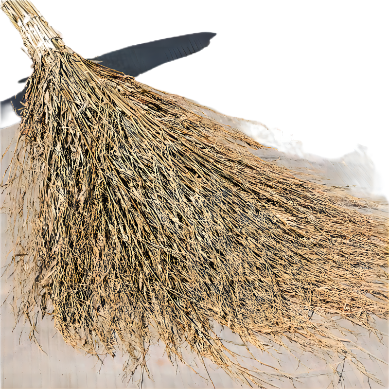 艾贝丽加密大扫把 竹扫把 3.5斤带叶竹枝连体 米色高清大图