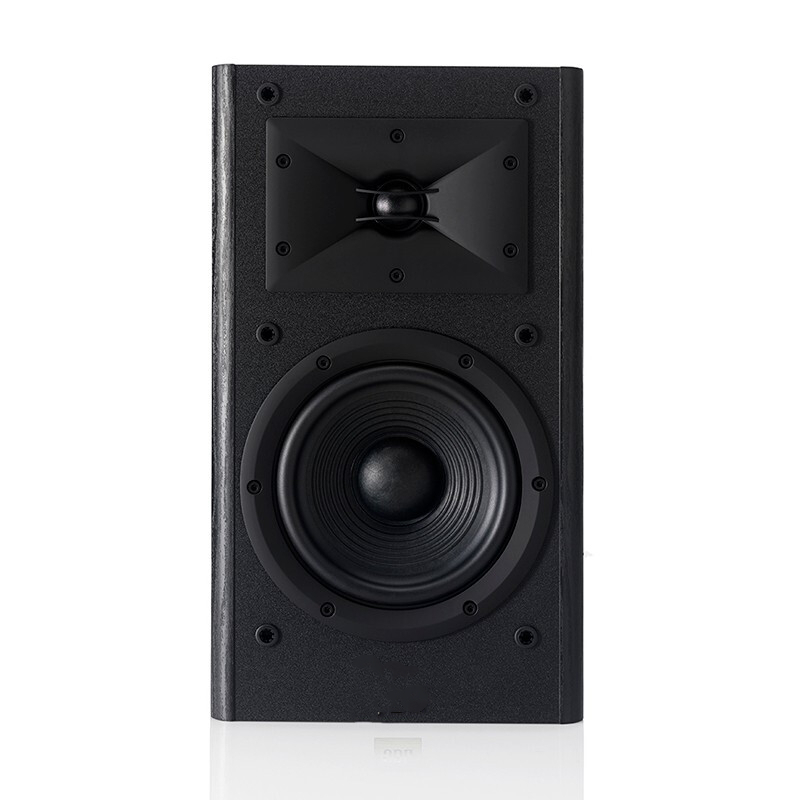 AUUG P-10 专业音箱