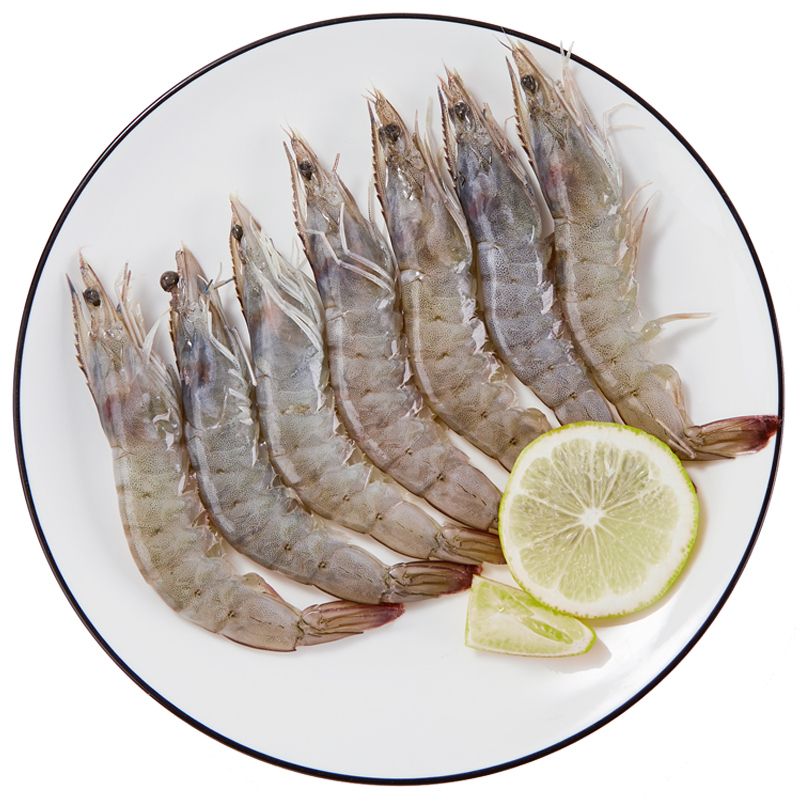 寰球渔市 厄瓜多尔白虾(活虾鲜冻)4斤/盒 90-120只 大虾 烧烤 净重1.4kg 进口 冷冻虾 海鲜水产 生鲜