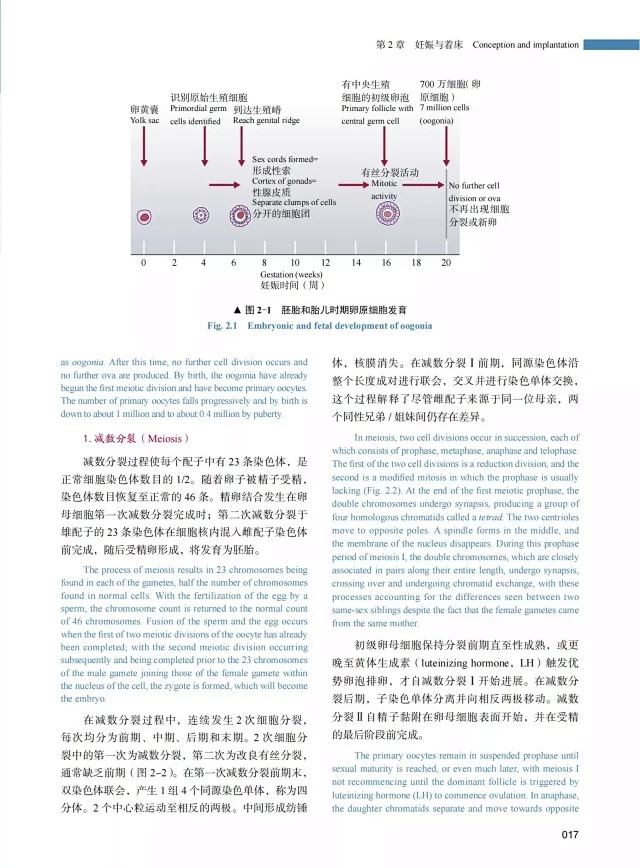 [正版]妇产科学 原书 第6六版 中英双语版 陈子江 等译 可作为妇产科专业研究生及住院医师案头参考书 中国科学技术出版高清大图