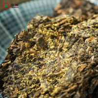 中茶黑茶园 黑茶 湖南安化 金花茯砖茶 金花MM手筑茯砖360g