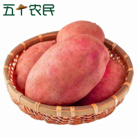 [五个农民]云南高山红皮土豆3斤装 新鲜蔬菜农家自种马铃薯黄心洋芋