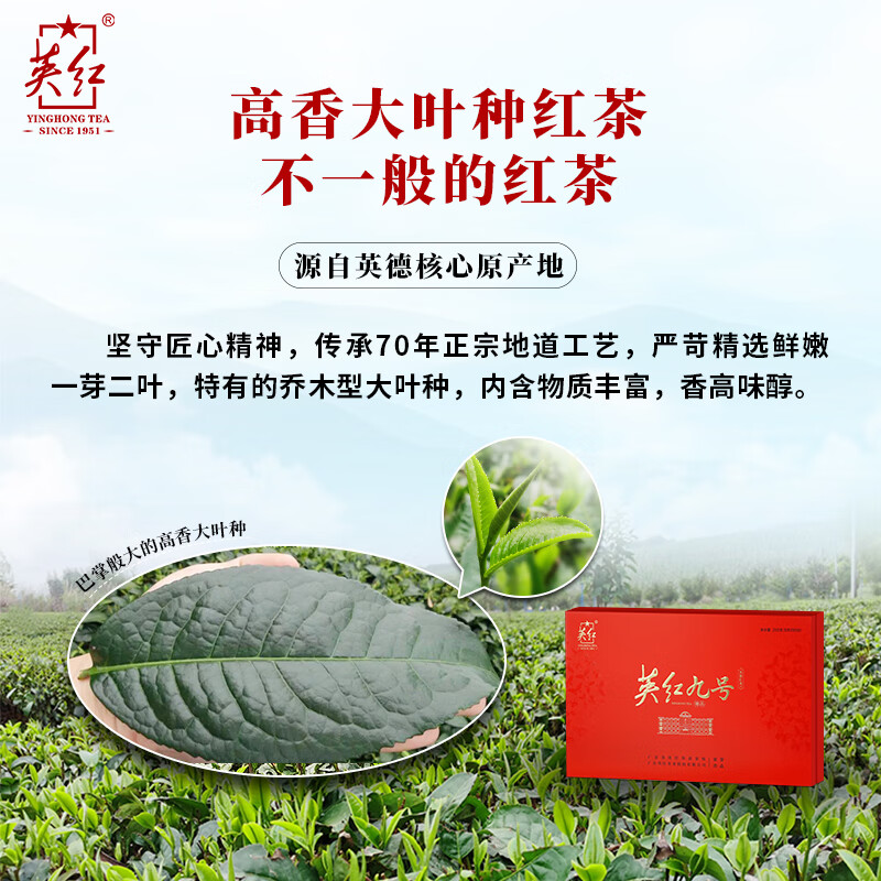 [英红牌]有机茶英红九号英德红茶浓香型茶叶250g高清大图