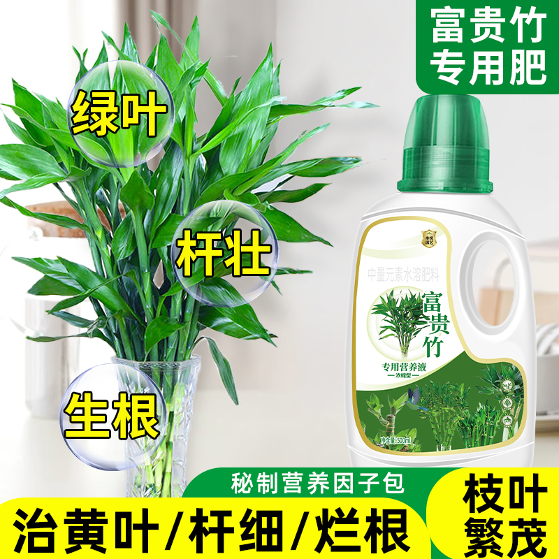 [补贴10%]富贵竹专用营养液治叶子发黄转运竹节节高文昌竹水竹水培植物生根高清大图