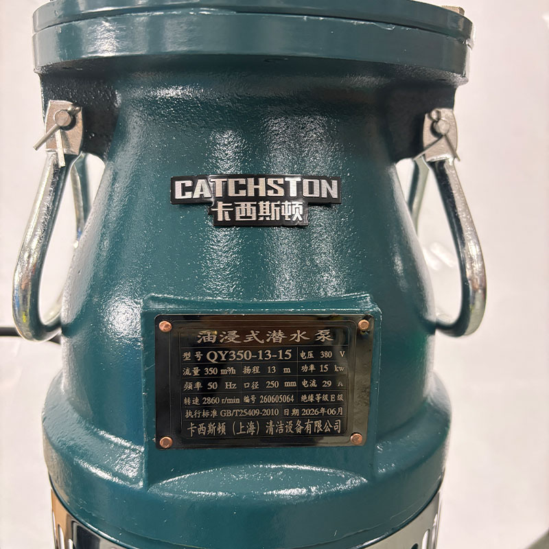 卡西斯顿 油浸式潜水泵 QY350-13-15 台高清大图