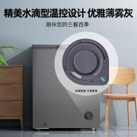 星星(XINGX)100升家用小型冷藏冷冻转换单温卧式冰柜厨房商用保鲜设备超市便利店冷柜节能微霜BD/BC-100KE