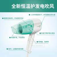 飞利浦(Philips) 电吹风机 家用小功率 可折叠便携式电吹风筒 负离子护发 BHC019/05
