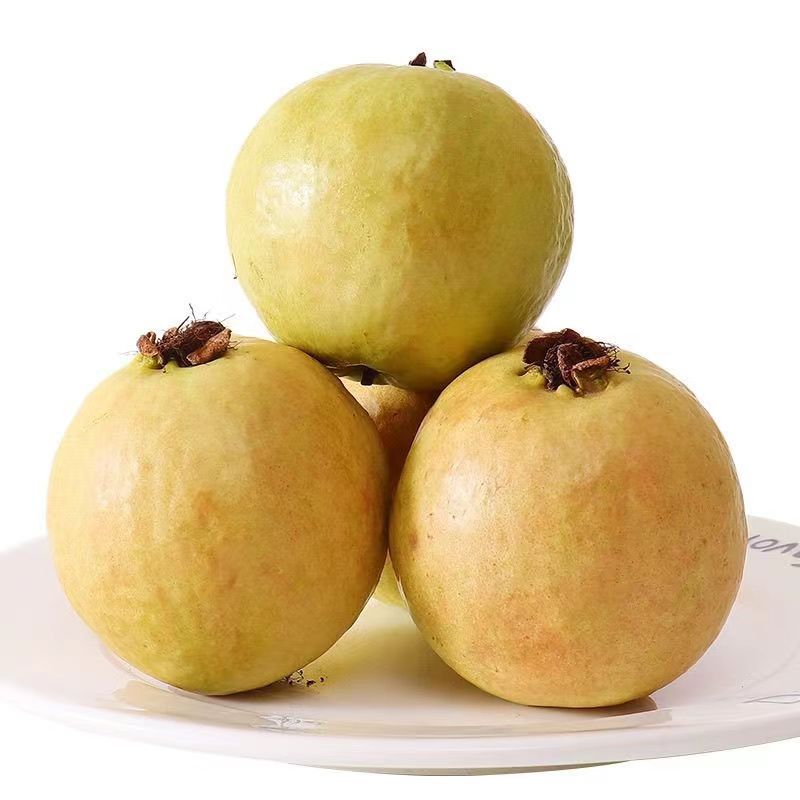 1斤/2斤/3斤/5斤装软糯番石榴应季新鲜水果整箱芭乐红心果低糖低脂