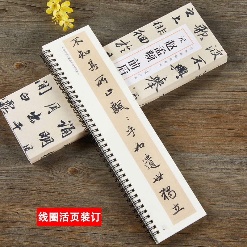 [正版]赵孟頫前后赤壁赋 元 经典碑帖近距离临摹卡 全2册 赵体行书书法毛笔字帖原帖简体旁注 安徽美术出版社