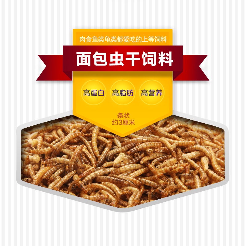 仓鼠面包虫干粉虫仓鼠粮 龟龟饲料 乌龟饲料 鱼食品牌高清大图