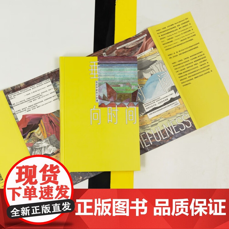 垂向时间 地质学家的计时簿 马西娅·比约内鲁德 著 海洋气候地地震 环境学地球科学地质学 自然地理科普书籍高清大图