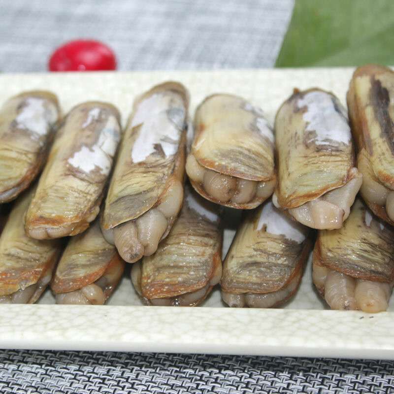 赛卡伊新鲜特大鲜活双头蛏子活体贝类海鲜海产品生鲜海鲜水产蛏