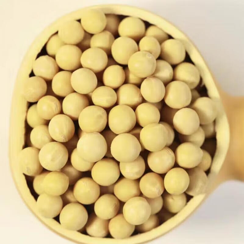 大黄豆 袋装500g