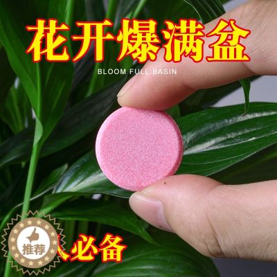 【醉染正版】植物营养片通用型家庭园艺缓释肥养花肥料家用盆栽通用花卉果蔬肥