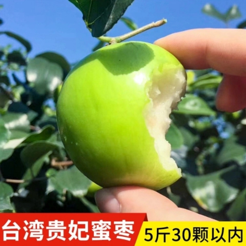 [顺丰直发]贵妃蜜枣礼盒装 当季现摘发货水果 脆甜多汁 4.5-5斤25-30个