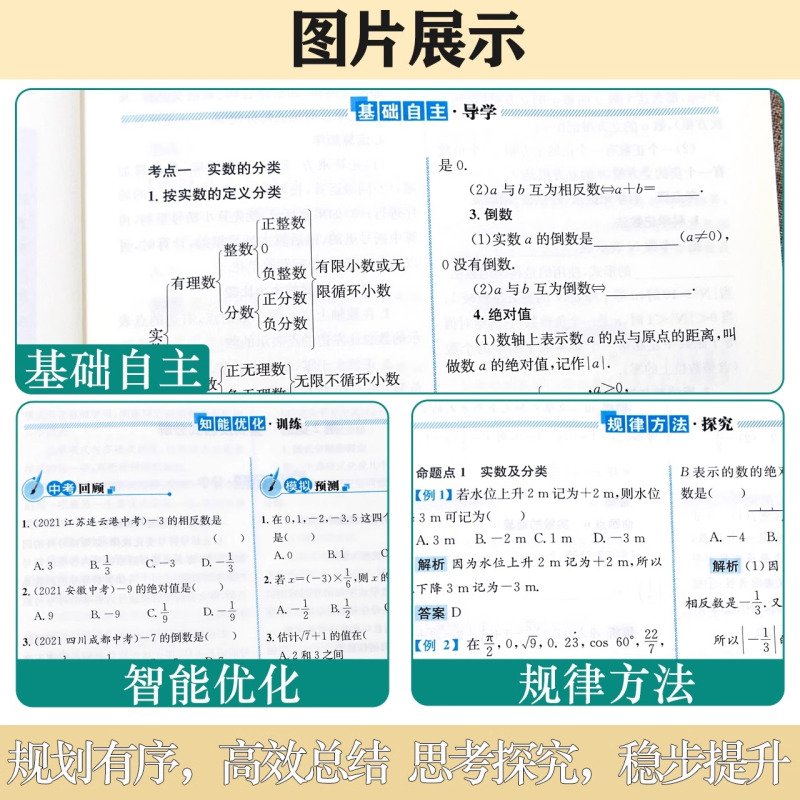 语文 初中通用 [正版]2024版 志鸿优化设计初中总复习 初中设计语文数学英语物理化学历史政治 (人教) 通用版 中考