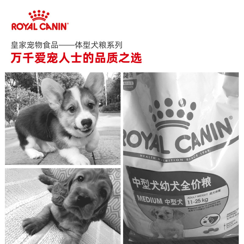 皇家(royal canin) 狗粮 中型犬 幼犬粮 MEJ32 4kg 萨摩耶哈士奇柯基狗干粮犬主粮