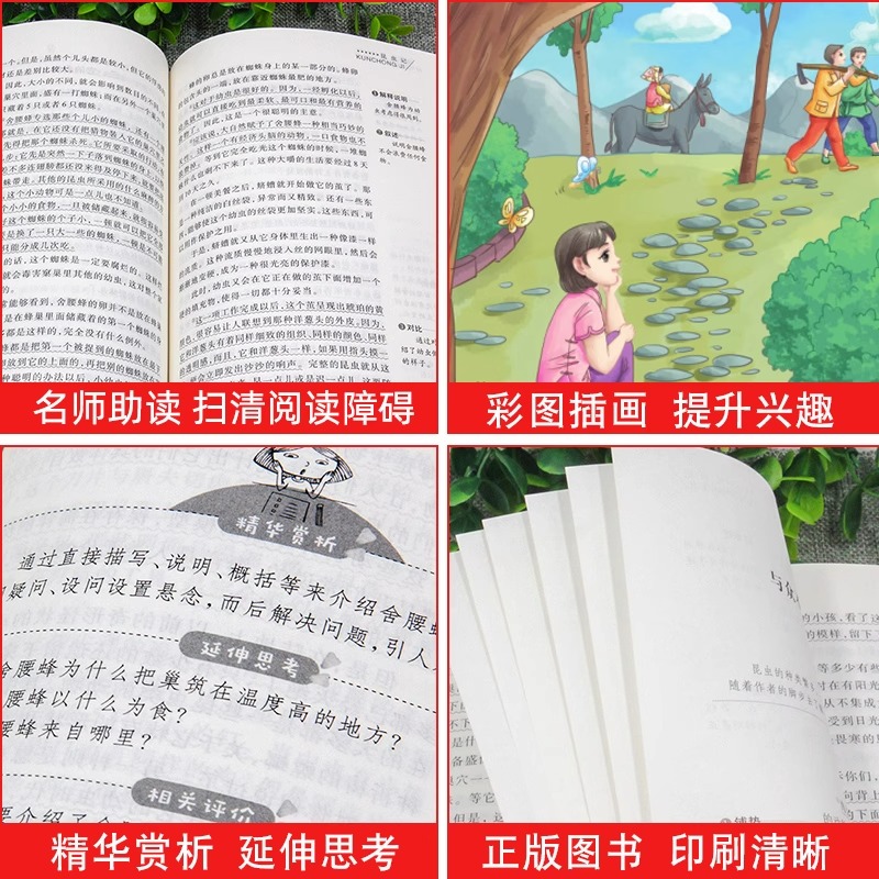 [2册]陶奇的暑期日记+小桔灯 [正版]陶奇的暑假日记冰心 小学生阅读名著 无障碍阅读 小学生淘奇的暑期日记阅读写作训练高清大图