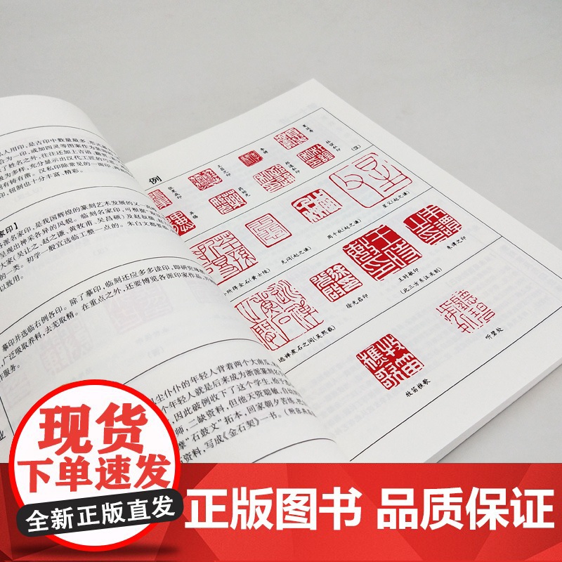 篆刻五十讲增订本/篆刻跟我学 吴颐人作品集套装2册金石书画篆刻史书画篆刻大家范例解析篆刻刻印初学者入门基础上海书店出版社高清大图