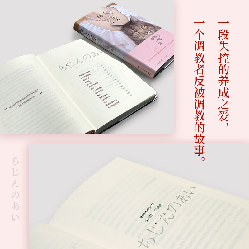 [醉染正版]痴人之爱 谷崎润一郎 日本唯美派文学大师代表作 细雪春琴抄阴翳礼赞 日本现当代文学小说书籍 正版高清大图