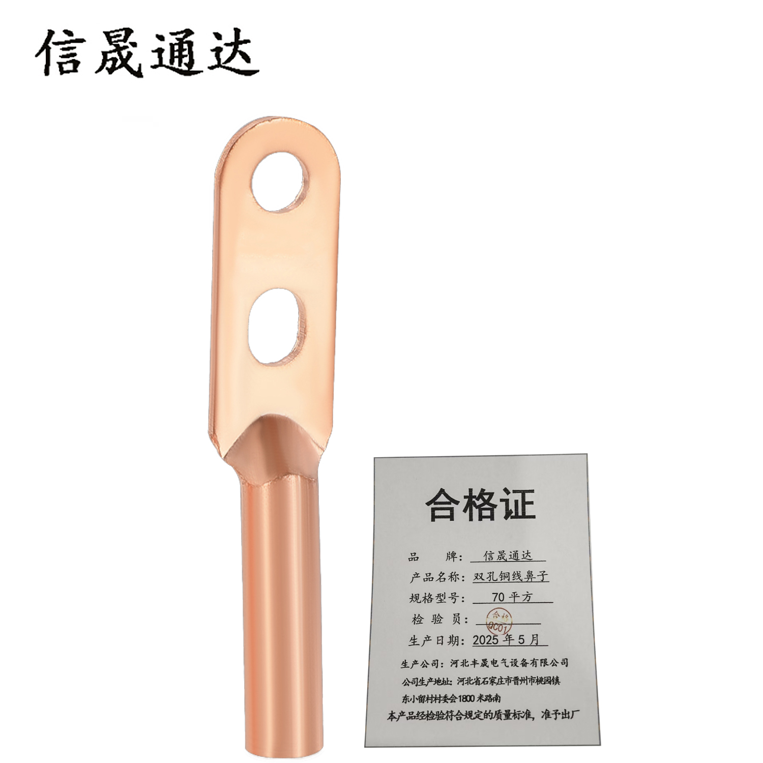 信晟通达 双孔铜线鼻子 70平方 个