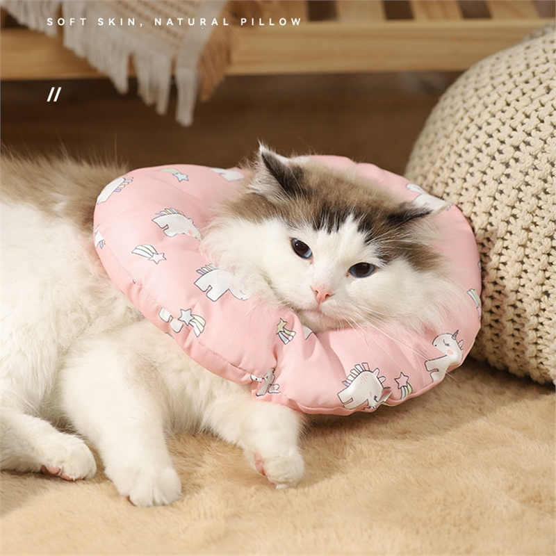 伊丽莎白圈猫咪头套小型犬防舔防咬颈圈狗狗耻辱项圈宠物绝育脖圈