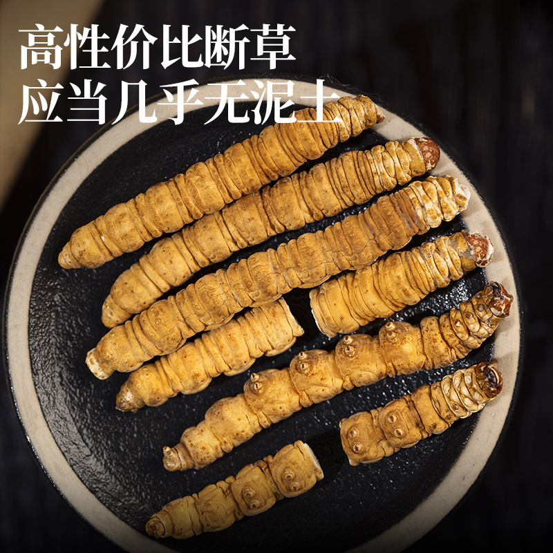 超高級品 冬虫夏草 ②