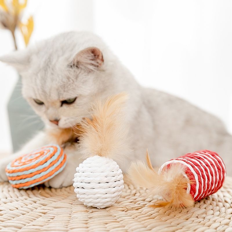 星期礼盒7件套 猫玩具逗猫棒羽毛小猫逗猫玩具猫猫磨牙套装幼猫用品猫咪玩具自嗨