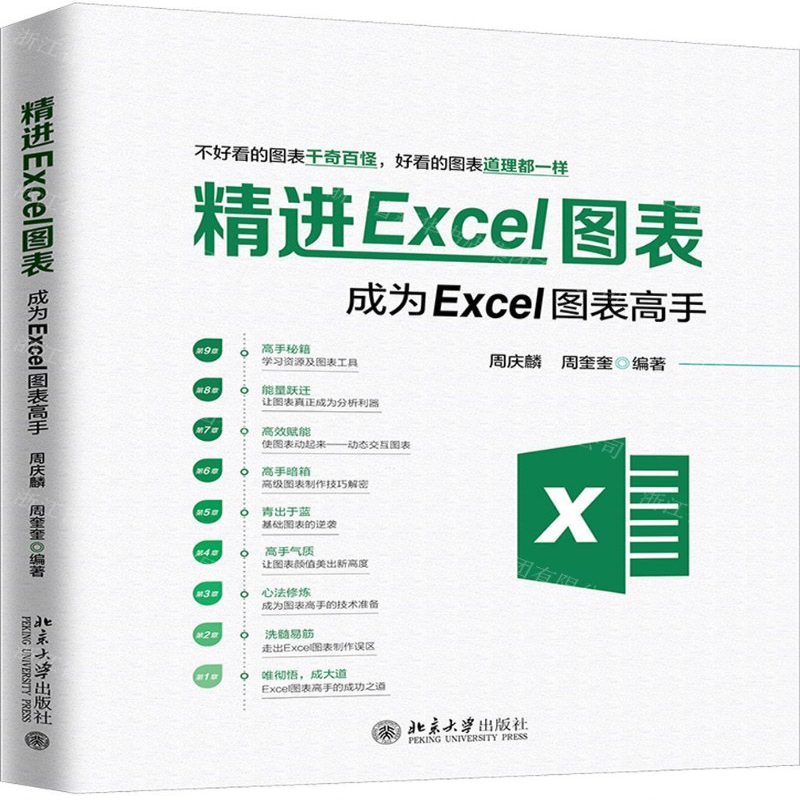 [N]精进Excel图表(成为Excel图表高手)-9787301307083高清大图