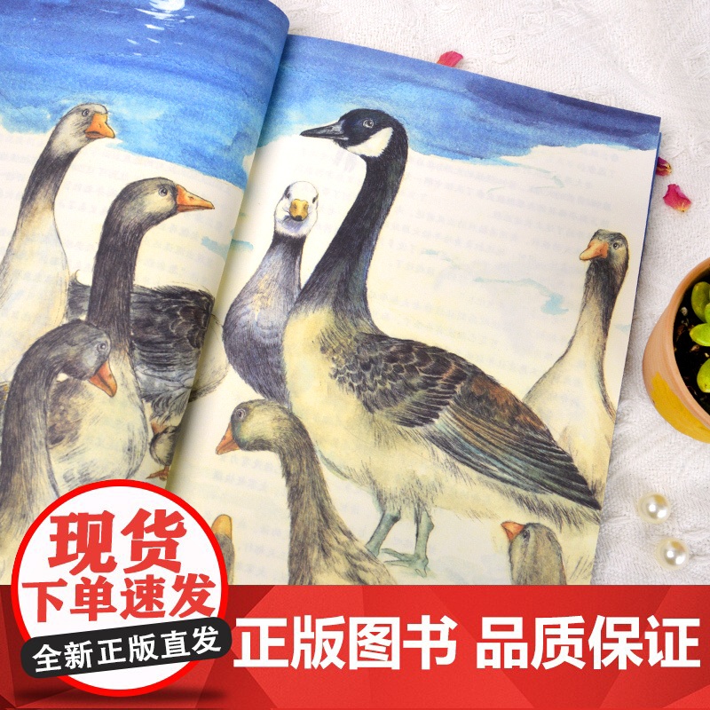 红蜡烛与美人鱼 彩绘本高清大图