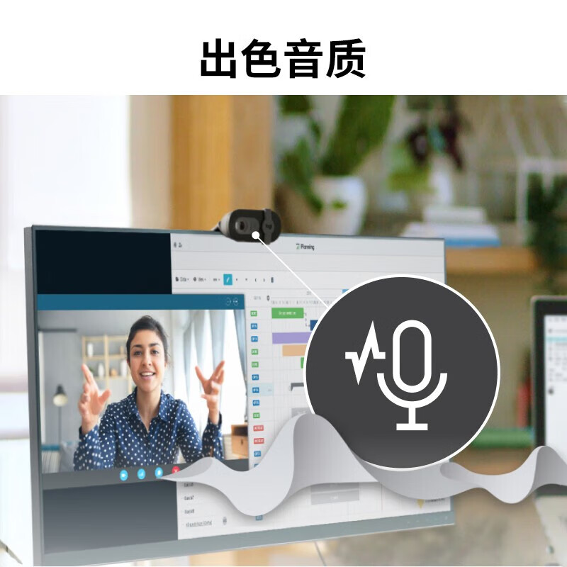 罗技 BRIO 90全高清视频摄像头(黑色)高清大图
