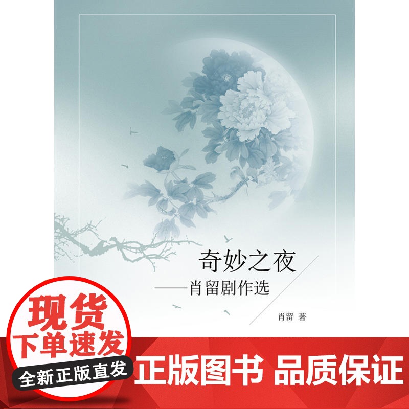 奇妙之夜高清大图