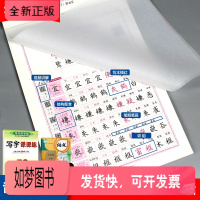 [正版新书]2021新版司马彦部编 人教版5五年级上册同步练字帖小学生天天练入学必备字帖每日一练语文笔画拼音中性笔铅笔钢