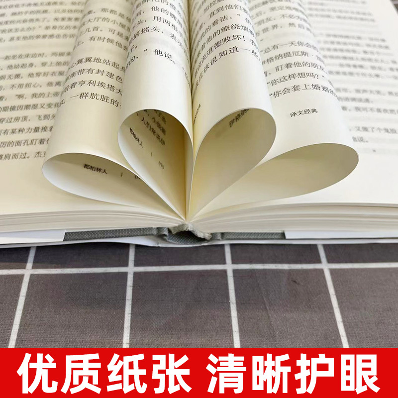 [正版]译文经典都柏林人 乔伊斯著/王逢振译 爱尔兰文学 上海译文出版社 初高中学生课外阅读 名家名译世界名著文学外国