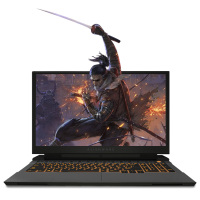 外星人（Alienware）M17R3 2020新款17.3英寸轻薄款游戏本电脑 I9-10980HK 2080 SUPER 300Hz 32G内存+4T PCIE固态