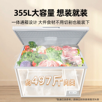 星星(Xingx)BD/BC-355E 355升 冰柜冷柜 厨房商用保鲜设备卧式通体大容量 冷藏冷冻转换单温冰柜