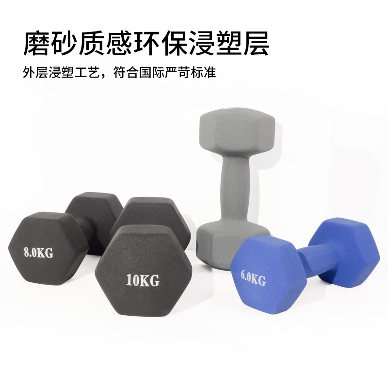 GAVAN伽梵哑铃健身男士家用器材练臂肌儿童小哑铃浸塑女士六角哑铃实心铸铁