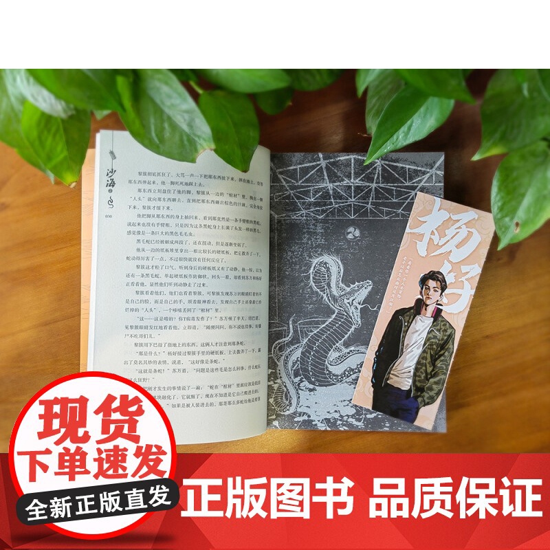 沙海 2 南派三叔 盗墓笔记后续 吴邪的盗墓笔记悬疑推理小说十年藏海花 小说高清大图