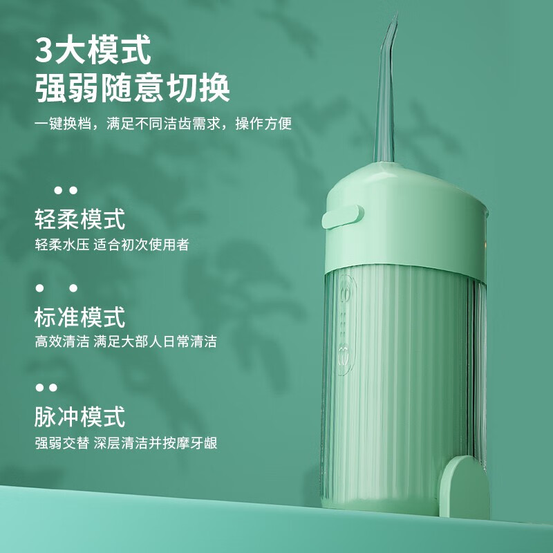 德博莱电动牙刷冲牙器套装DBL-YC001高清大图