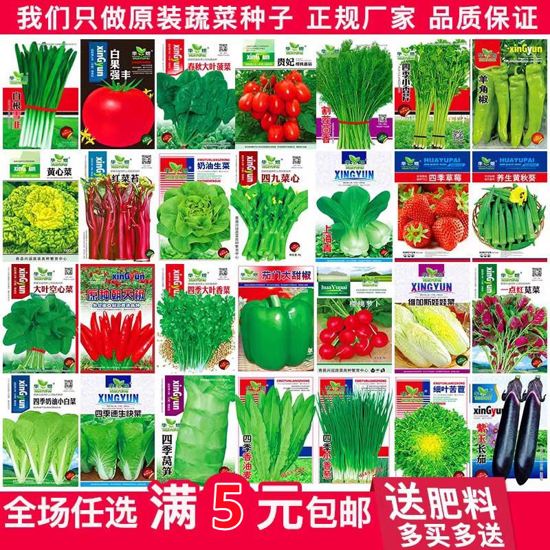 [补贴10%]蔬菜种子四季播盆栽阳台庭院香菜生菜菠菜小葱简单秋易种籽孑大全高清大图